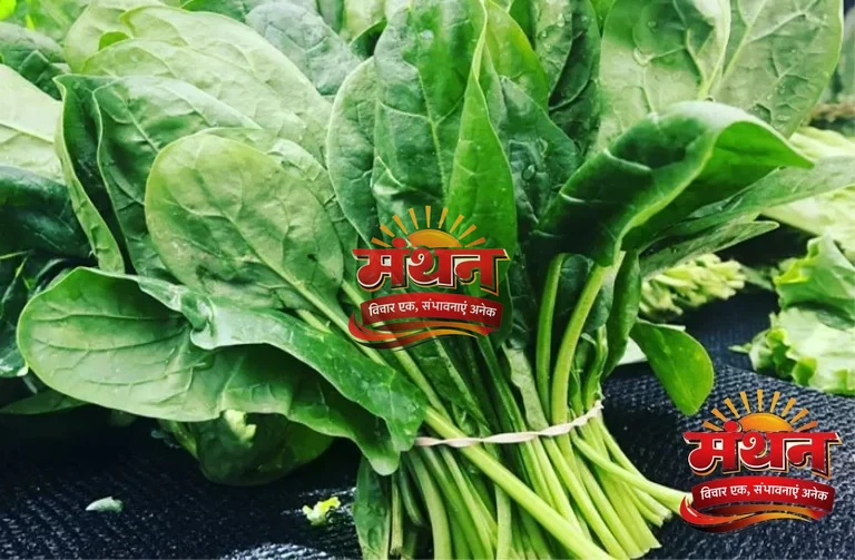 एक्सपर्ट