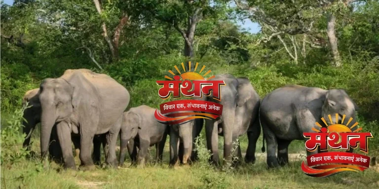 हाथियों