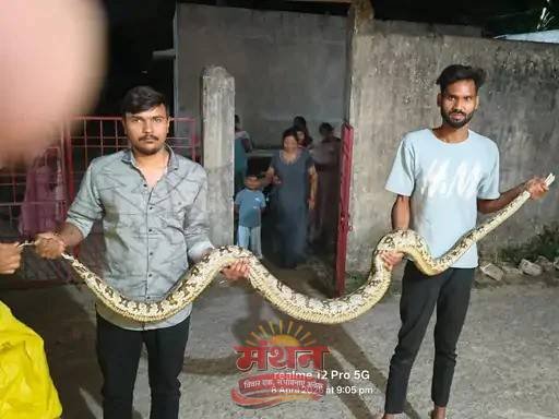 (कोरबा) कोरबा अंचल के गर्ल्स आईटीआई कॉलेज में मिला 10 फीट का अजगर