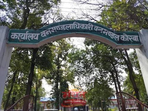 (कोरबा) संतरेगा में लकड़ी जप्ती मामले में हुआ विवाद