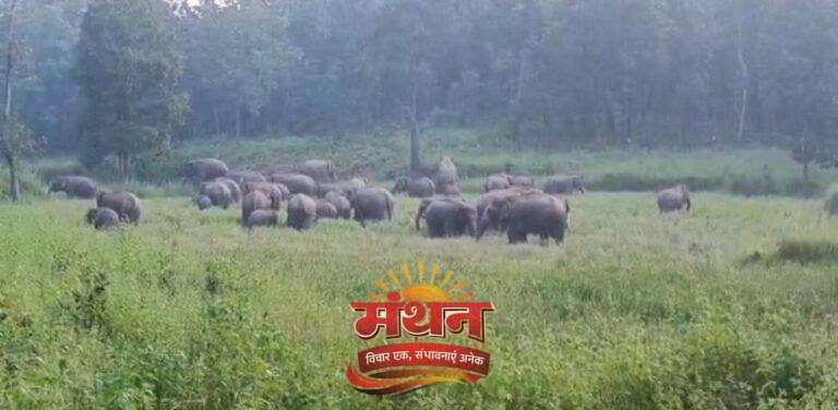 (कोरबा) आने वाली पीढ़ियों के लिए प्रकृति संरक्षण जरूरी-जितेंद्र सारथी