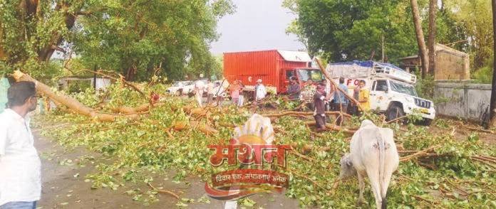 (कोरबा) कटघोरा-अंबिकापुर राष्ट्रीय राजमार्ग पर पेड़ गिरने व जल जमाव से आवागमन रहा घंटो बाधित
