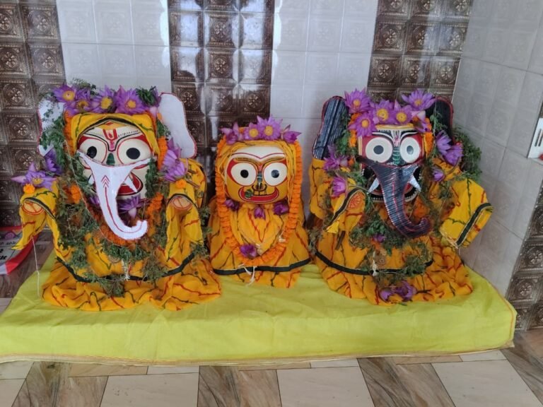 (कोरबा) ज्येष्ठ पूर्णिमा पर महास्नान के बाद ‘अनसर’ में गए भगवान जगन्नाथ