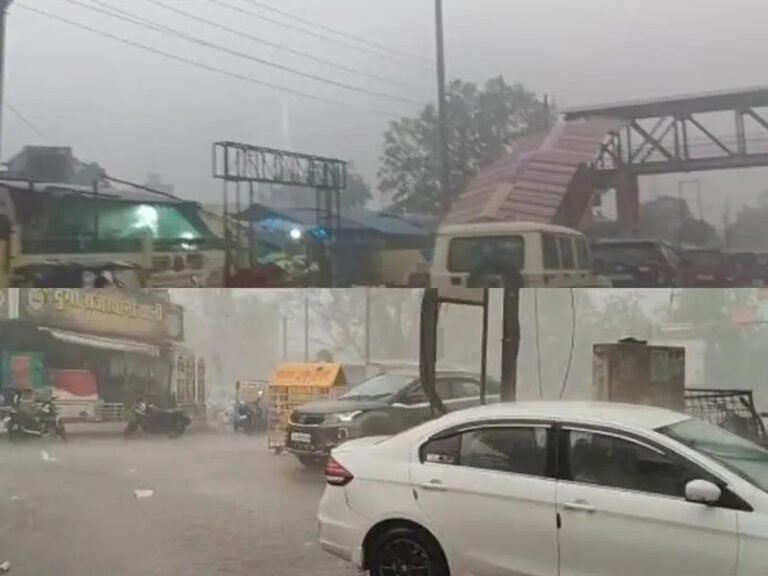 (कोरबा) 36 घंटे की मूसलाधार बारिश से बने बाढ़ जैसे हालात