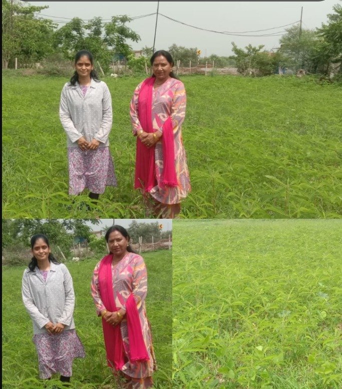 (कोरबा) महिला कृषक शांति देवी ने प्राकृतिक खेती से पेश की मिसाल