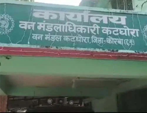 (कोरबा) रतनजोत के पौधों को काटकर नये वृक्षारोपण किये जाने का ग्रामीणों ने किया विरोध
