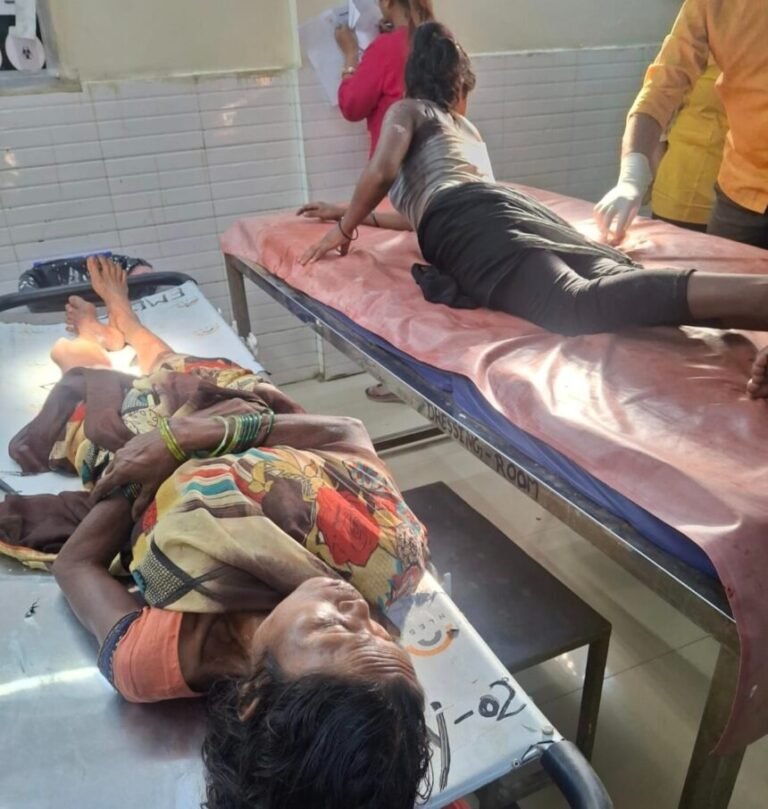 (कोरबा) ग्राम डीडासरई-देवपहरी के जंगल में भालू के हमले में दो महिलाएं हुई जख्मी