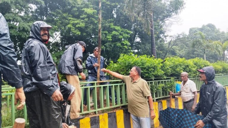 (कोरबा) घंटाघर से महाराणा प्रताप चौक मार्ग पर किया गया वृक्षारोपण