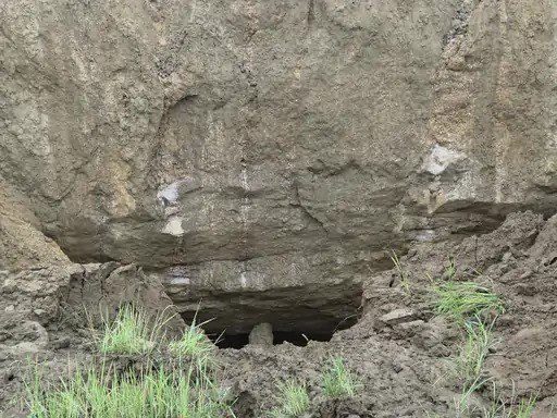 (कोरबा) ग्राम पंचायत सिंघाली में जमीन धंसी लगभग 15 फीट-दहशत