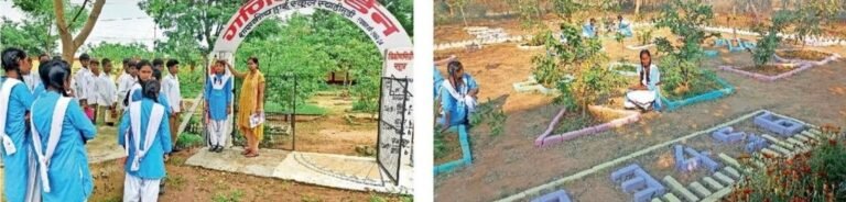 (कोरबा) गार्डन बना गणित की पाठशाला-पौधे सीखा रहे सूत्र और क्यारियां बता रही क्षेत्रफल