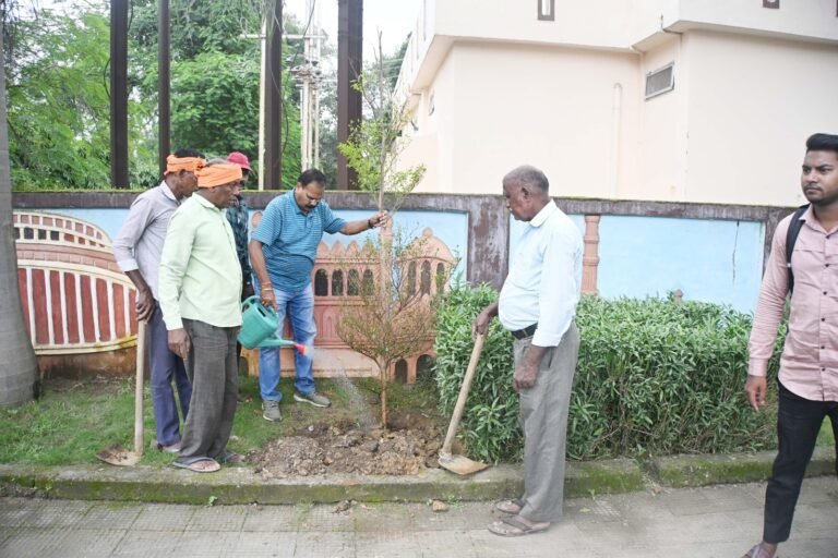 (कोरबा) पुष्पलता गार्डन से आगे ब्लू बर्ड स्कूल मुख्य मार्ग में किया गया वृक्षारोपण