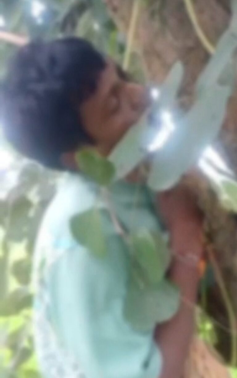 (कोरबा) ठेका श्रमिक का पेड़ पर फंदे से लटका मिला शव-पुलिस जांच जारी