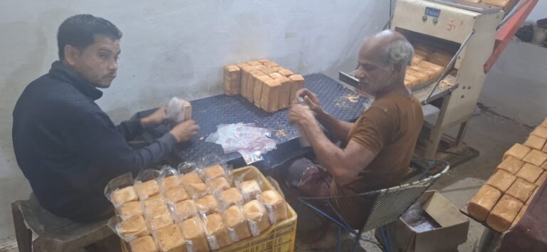 (कोरबा) सरकारी नौकरी का मोह त्याग स्वरोजगार से संवारी किस्मत