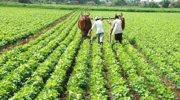 (कोरबा) ग्राम ईरफ में प्रशिक्षण कार्यक्रम हुआ आहूत
