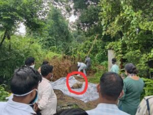 (कोरबा) सेप्टिक टैंक से मिला महिला का सड़ा-गला शव