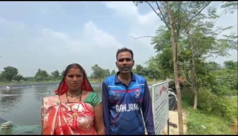 (कोरबा) बायोफ्लॉक मछली पालन से शारदा कौशिक को मिला आय का नया सहारा